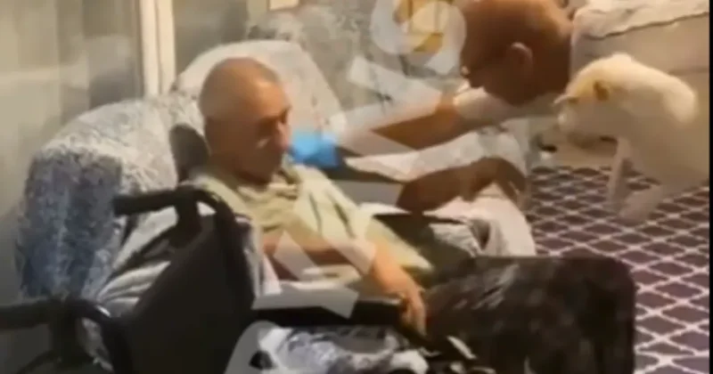 Büyükçekmece’de huzurevi dehşeti kamerada: Yaşlı adama böyle eziyet etmişler! Eldiven takarak dövdü