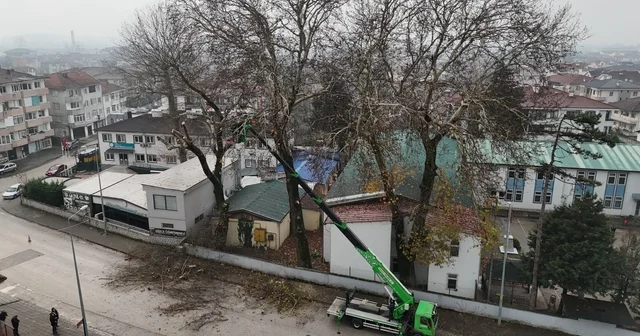 Düzce de ağaçlara kış bakımı Sürücü ve yaya güvenliği için çalışma gerçekleştiriliyor Düzce Haberleri