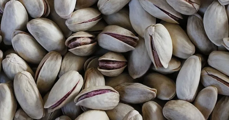 Resmi Gazete de yayımlandı: Antep fıstığı için yeni karar Sözcü Gazetesi