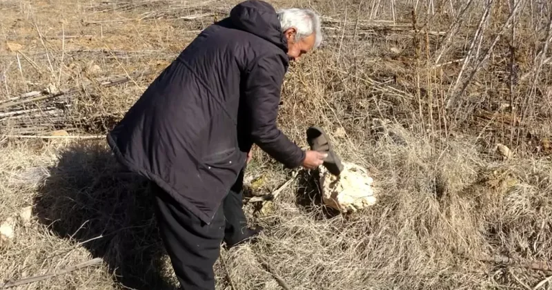 Nezaketle Alışveriş: Çorapla Markette!