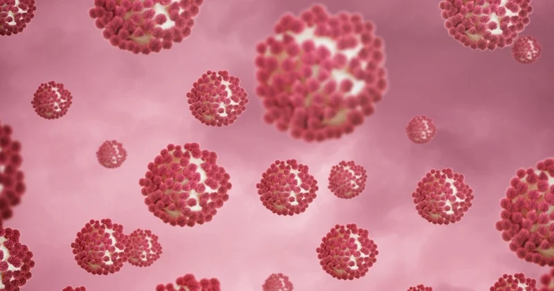 H3N2 hastaneleri doldurdu, mart ayına dikkat! Sağlık Haberleri