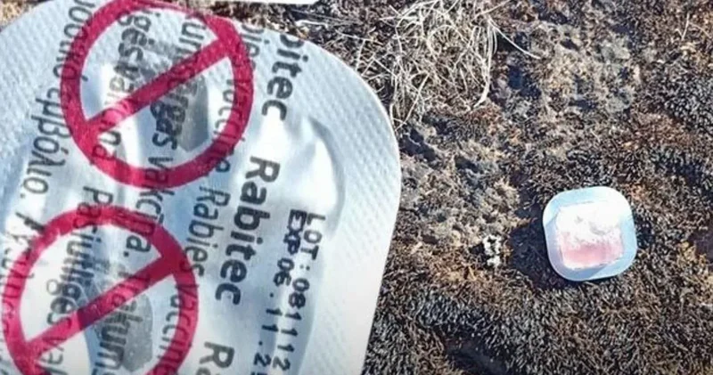 Havadan ilaç atılmaya başlandı! Görürseniz sakın dokunmayın