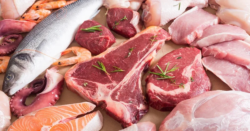 Ne dana ne hindi ne tavuk: En besleyici et meğer buymuş Sözcü Gazetesi