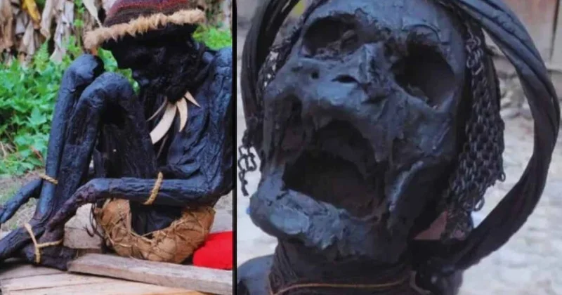 Tarih kitapları baştan sona değişecek! 12 bin yıllık sır çözüldü Sözcü Gazetesi