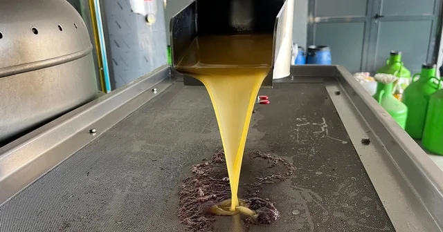 Kara meyve altın sıvıya dönüşüyor Denizli Haberleri