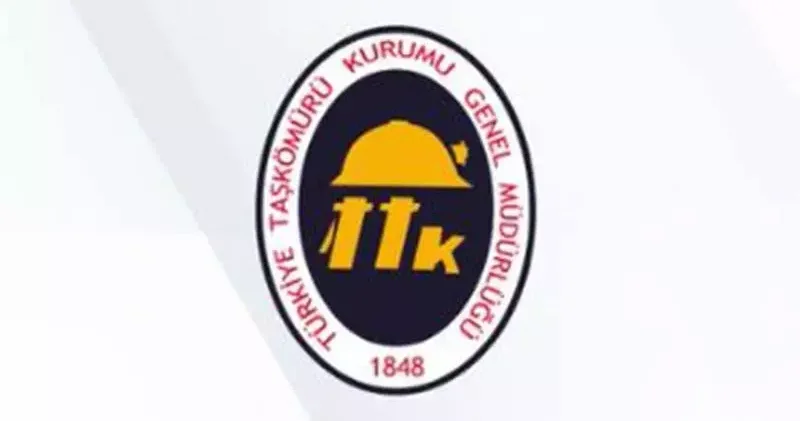 Türkiye Taşkömürü Kurumu, 263 işçi alacak