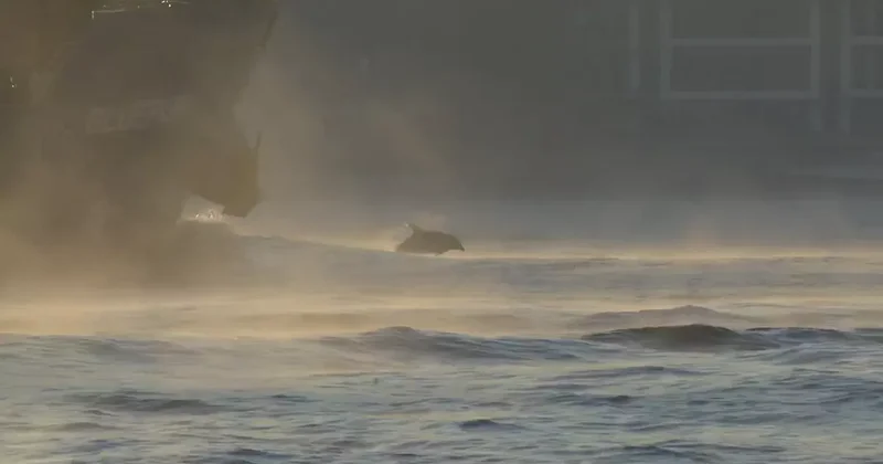 İstanbul Boğazı nda ilginç görüntüler: Denize neler oluyor? Kaynıyor gibi!