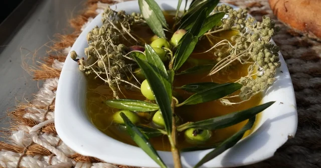 Oleolog Dr. Kıvrak: Erken ve olgun hasat zeytinyağları farklı içeriklere sahiptir Balıkesir Haberleri