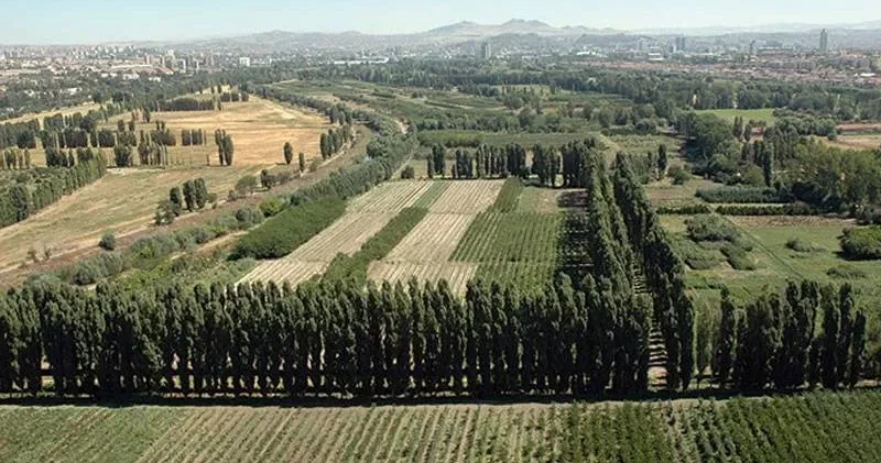 Beştepe Millet Ormanı na 1.2 milyar, yangın filosuna 800 milyon lira ayrıldı