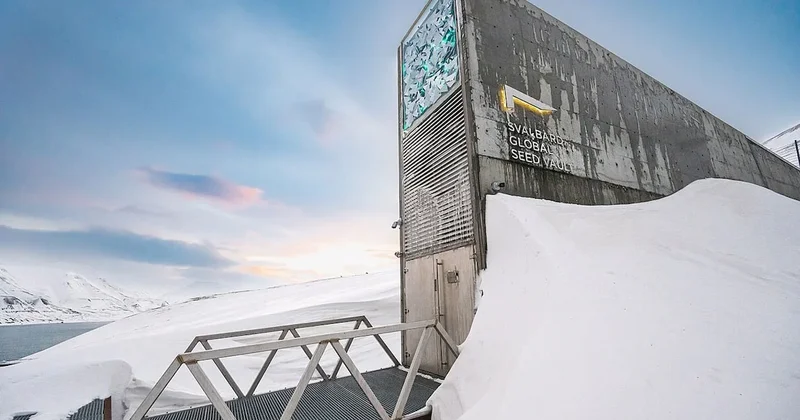 Sinek bile uçamıyor: İşte dünyanın en iyi korunan yasak noktası Sözcü Gazetesi