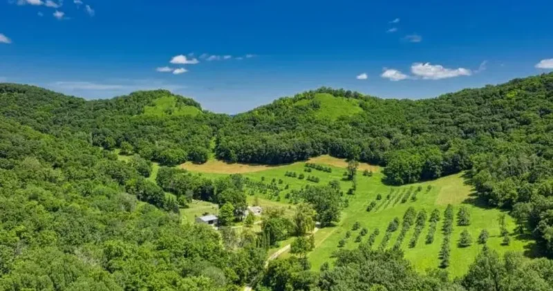 Komisyondan geçti: 2B de tapu için kaçıranlara ek süre, 31 Temmuz son gün!