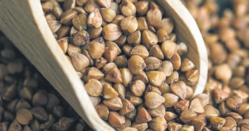 İDİL AÇIKALIN Karabuğdayın muhteşem şifası