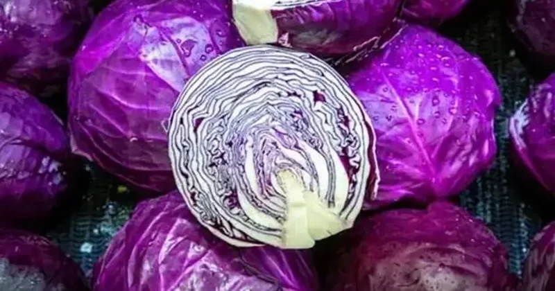 Bağışıklığı güçlendiriyor: Yiyince vücudunuzu kalkan gibi koruyor!