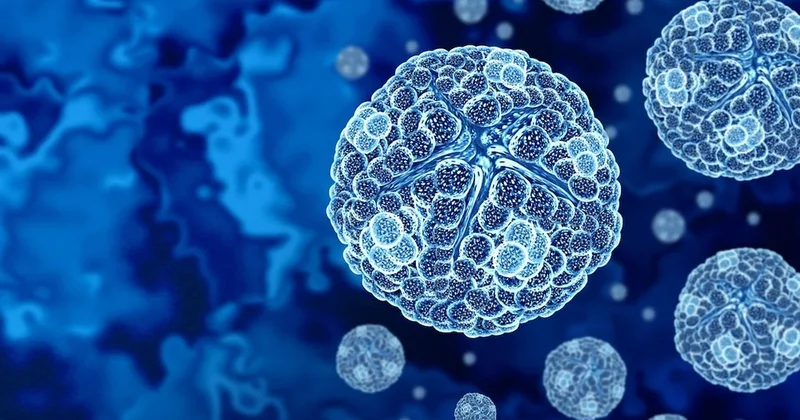 Yaşamın tarihi yeniden yazılıyor! Japonya da dev virüs keşfi Sözcü Gazetesi