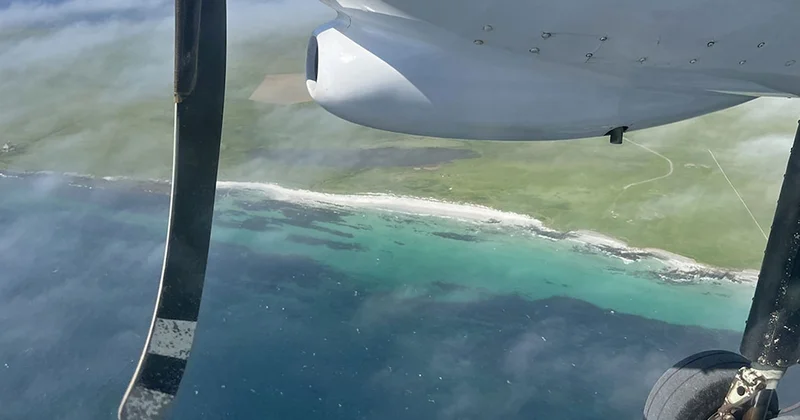 Dünyanın en kısa uçuşu: Kemer bağlayana kadar uçak iniyor Sözcü Gazetesi