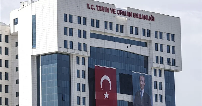 Gıda işletmelerine katkı maddelerine ilişkin yeni spesifikasyonlara uyum süreci Sözcü Gazetesi