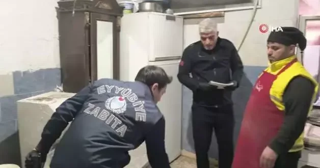 Ekmek fırınında görüntülenen kedi ekipleri harekete geçirdi