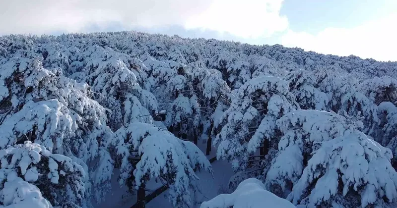 Türkiye’nin ilk Milli Parkı Çamlık’ta kar manzarası havadan görüntülendi