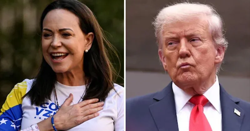 Machado nun Nobel i Trump a vermesi tartışma yarattı: Knut Hamsun dan Aziz Sancar a; işte tarihte madalyasını hediye edenler