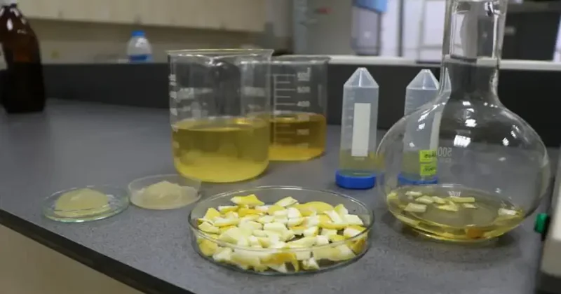 Öğrencilerden ağaç kavunu kabuğuyla büyük buluş: Tarımsal atıktan süper emici hidrojel ürettiler