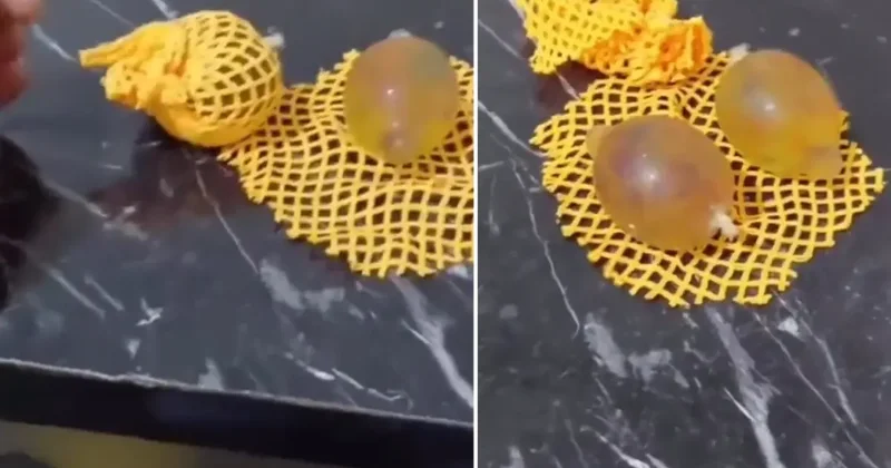 Çocuğuna aldığı oyuncağın içinden prezervatif çıktı