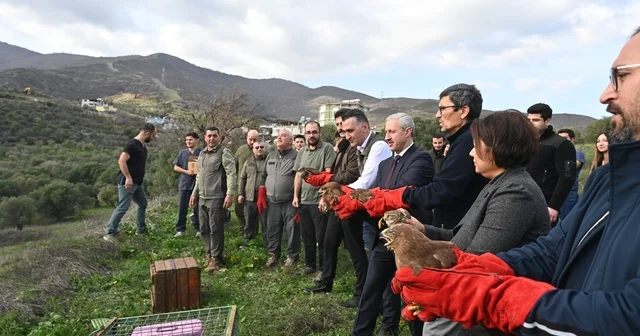 Tedavisi tamamlanan yırtıcı kuşlar özgürlüğe kanat çırptılar Hatay Haberleri