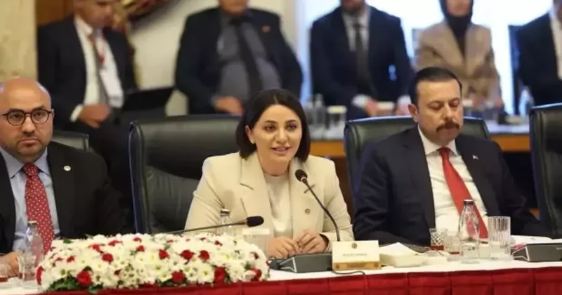 AK Parti Milletvekili Şengül Karslı: Bu rapor tam anlamıyla bir Türkiye uzlaşısıdır