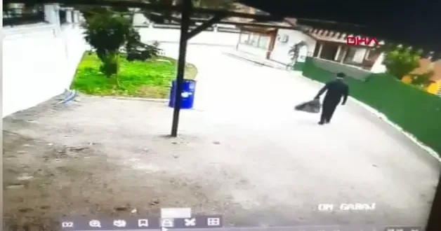 Devrilen ağacın altında kalmaktan son anda kurtuldu