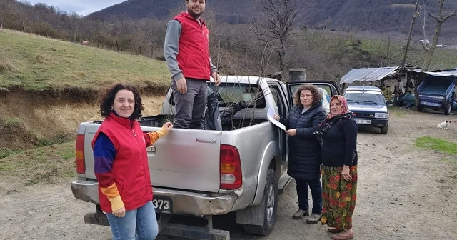 19 Mayıs ilçesinde kestane üretimini artırmak için çalışma yürütülüyor Samsun Haberleri