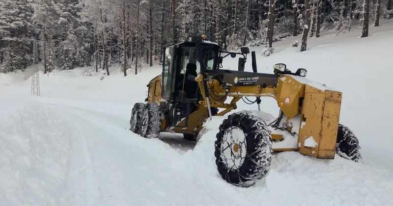 2 ilde yoğun kar: 176 yol kapandı
