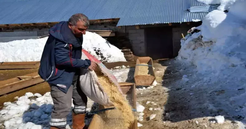 İstanbul dan köyüne döndü: 4 yılda 100 den 680 e yükseltti