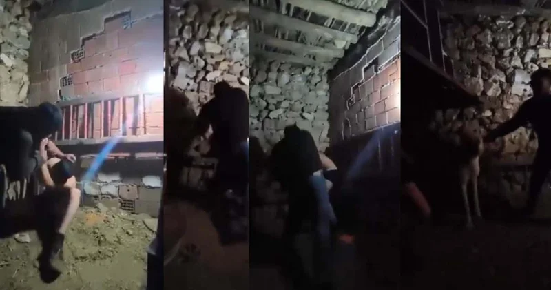 Ahırda rehin aldı üzerini soydu işkence etti! Tüm bunları yapan kişi serbest