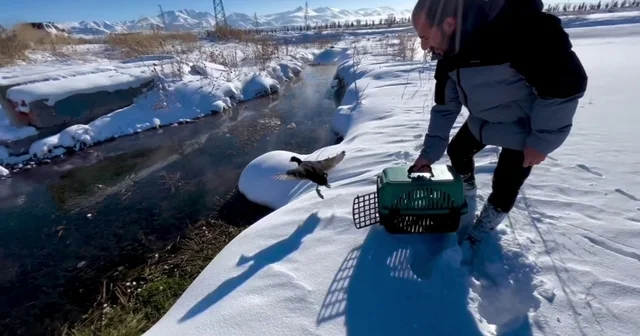 Soğuk hayata mola verdirdi Erzurum Haberleri