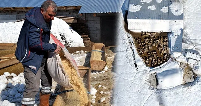 Doğup büyüdüğü mahallesine döndü: 4 yılda hayatı değişti! Tüm zorluklara rağmen seviyorum