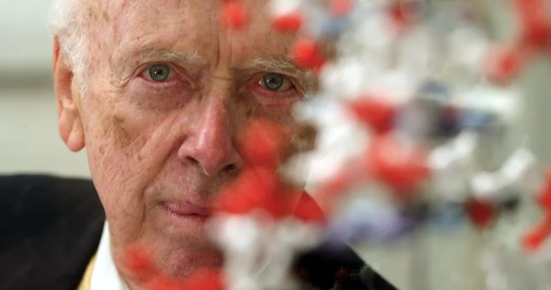 ABD li bilim insanının Epstein in evinde 3 kadınla fotoğrafı ortaya çıktı Dış Haberler