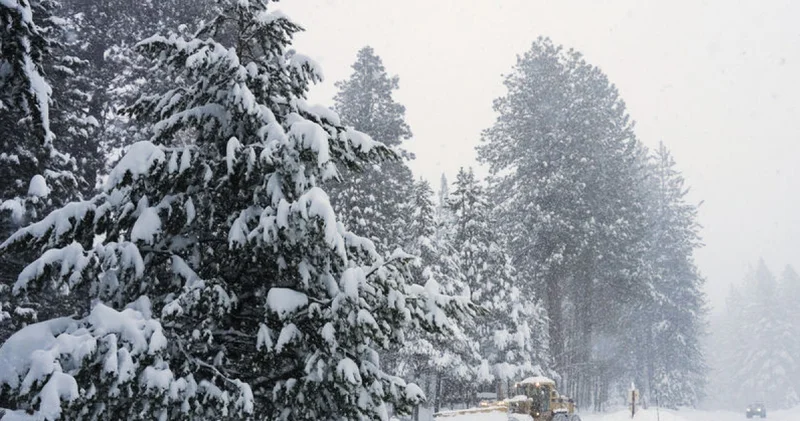 ABD nin California eyaletinde meydana gelen çığda kaybolan kayakçılar aranıyor Dış Haberler