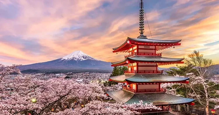 IMF den Japonya açıklaması