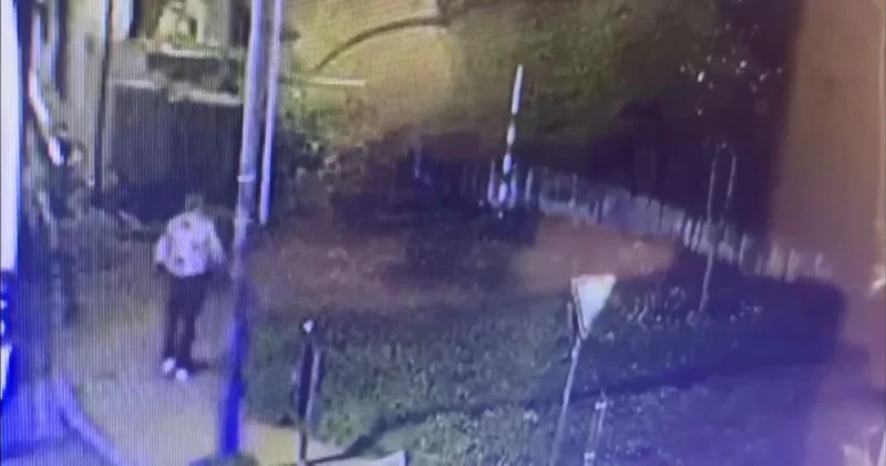 Öldürdü, kontrol etmeye gitti! Son dakika haberleri