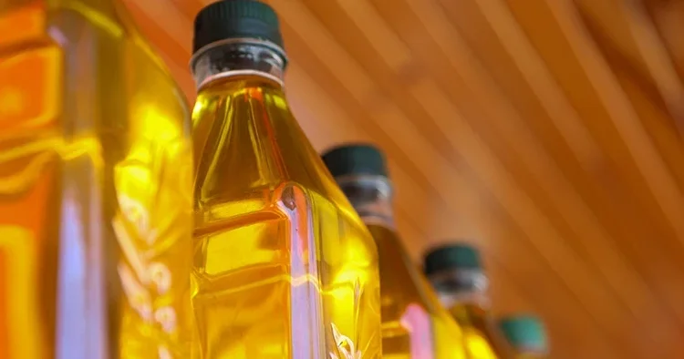 Eve girip zeytinyağı çalan hırsız tutuklandı