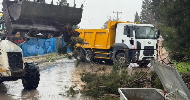 Akdeniz de fırtına sonrası belediye ekipleri teyakkuzda Mersin Haberleri