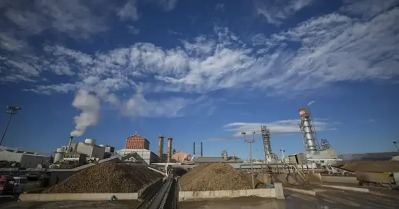 Kayseri Şeker den üreticilere 11 milyar lira ödeme