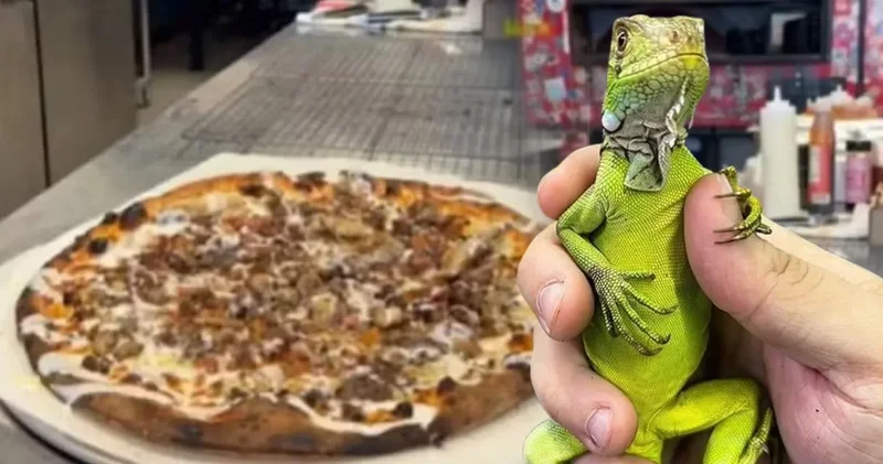 Florida’da sınırları zorlayan pizza gündemde