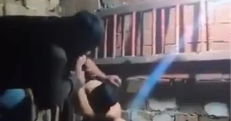 Güvercin Meselesi Kabusa Döndü