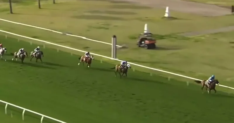Bir at yarışı spikerinin, Mister Mmmmm adlı yarış atını anlattığı anlar viral oldu
