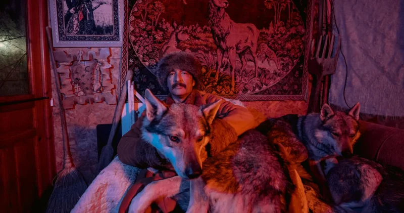 Sivas ın bozkırında kurt köpekleri ve yırtıcı kuşlarıyla yaşıyor