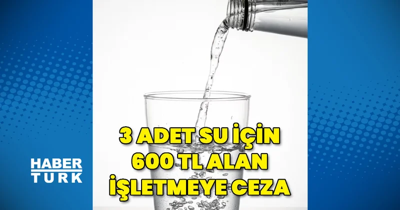3 suya 600 TL alan işletmeye ceza İş Yaşam Haberleri