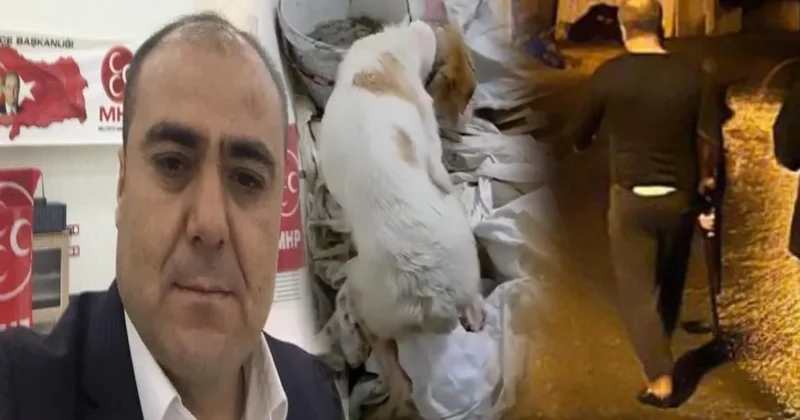 MHP li başkan, köpek vurdu: Sahibini tehdit etti Sözcü Gazetesi
