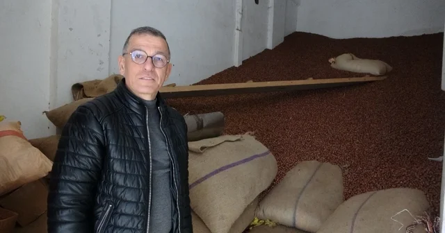 Ramazan Bayramı öncesi fındık fiyatları 240 liraya geriledi Giresun Haberleri