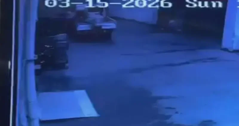 Avcılar da palet hırsızlığı kamerada; 4 şüpheli yakalandı