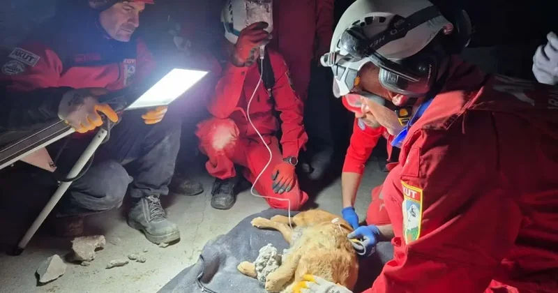 Betonda Mahsur Kalan Paris Kurtarıldı